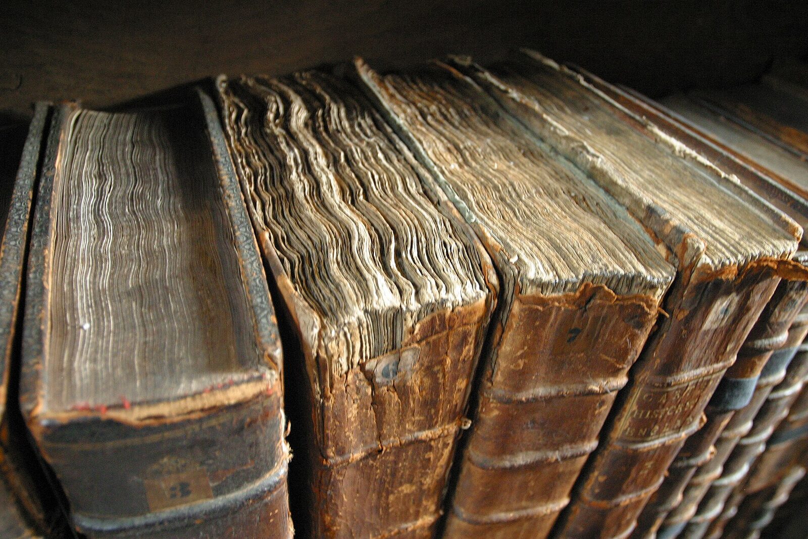 Rangée de livres anciens reliés en cuir, dos usés et coiffes abîmées